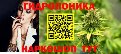 винт Кингисепп