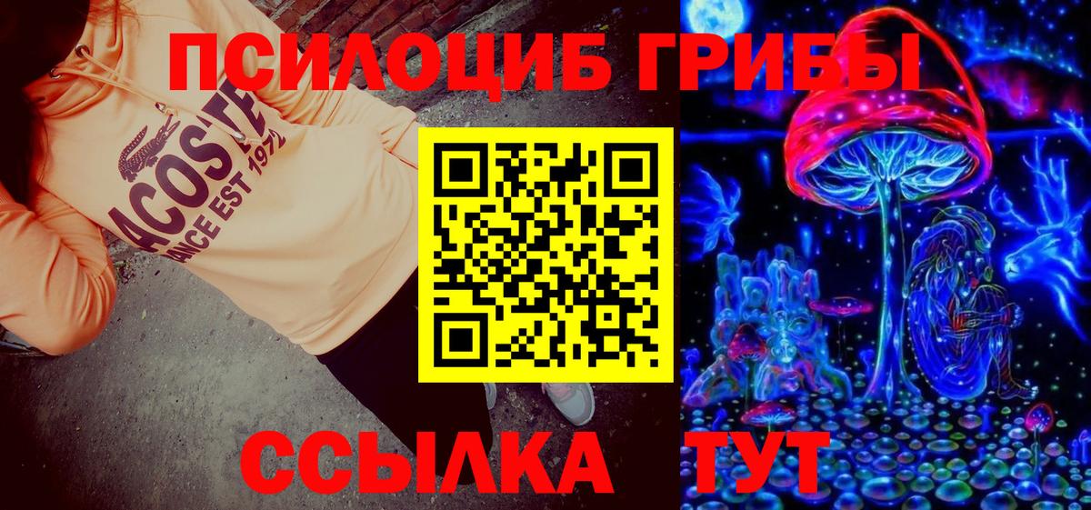 Галлюциногенные грибы Magic Shrooms Кузнецк